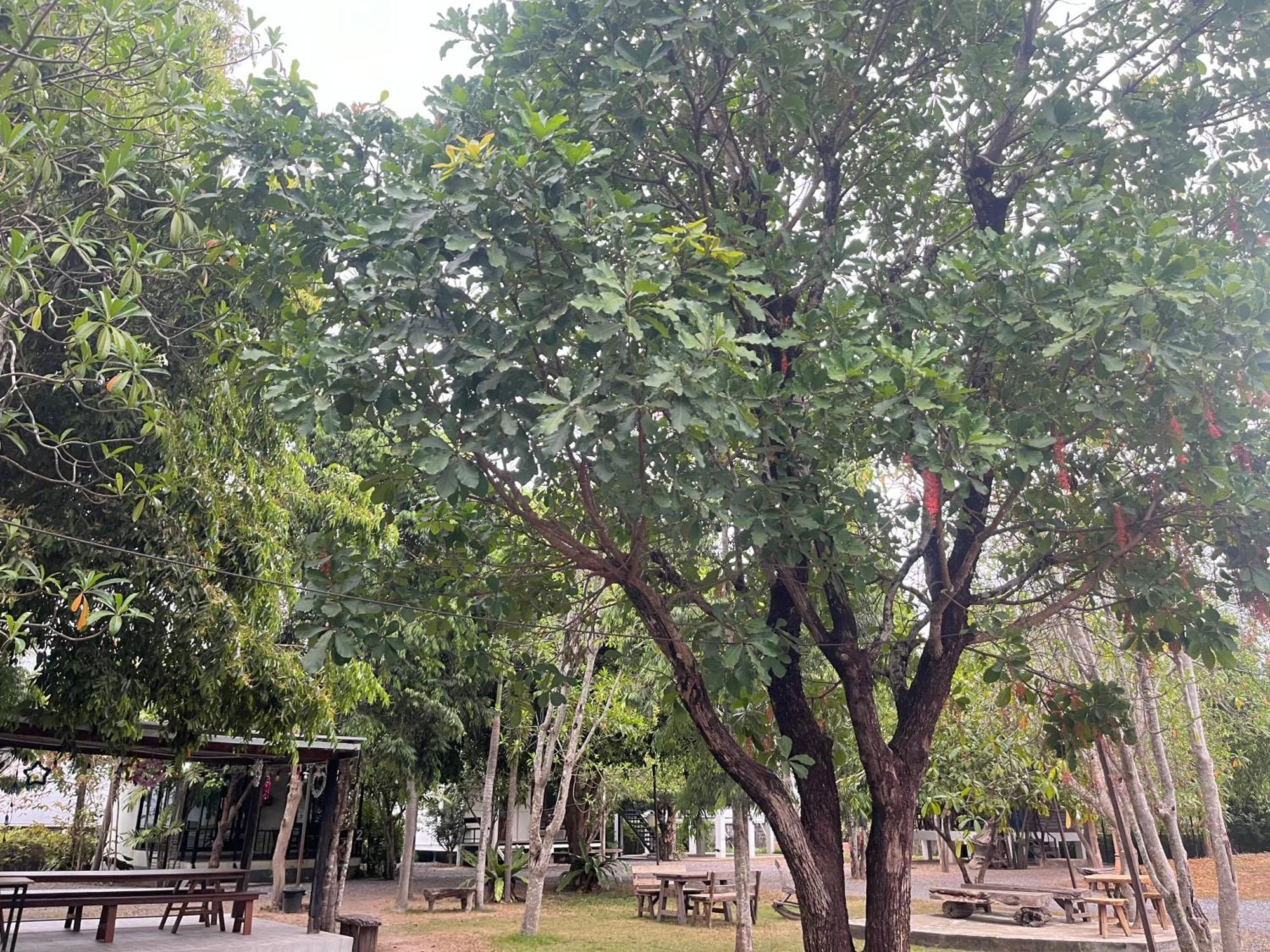 Sangkaset Resort Ban Mong Muang Esterno foto