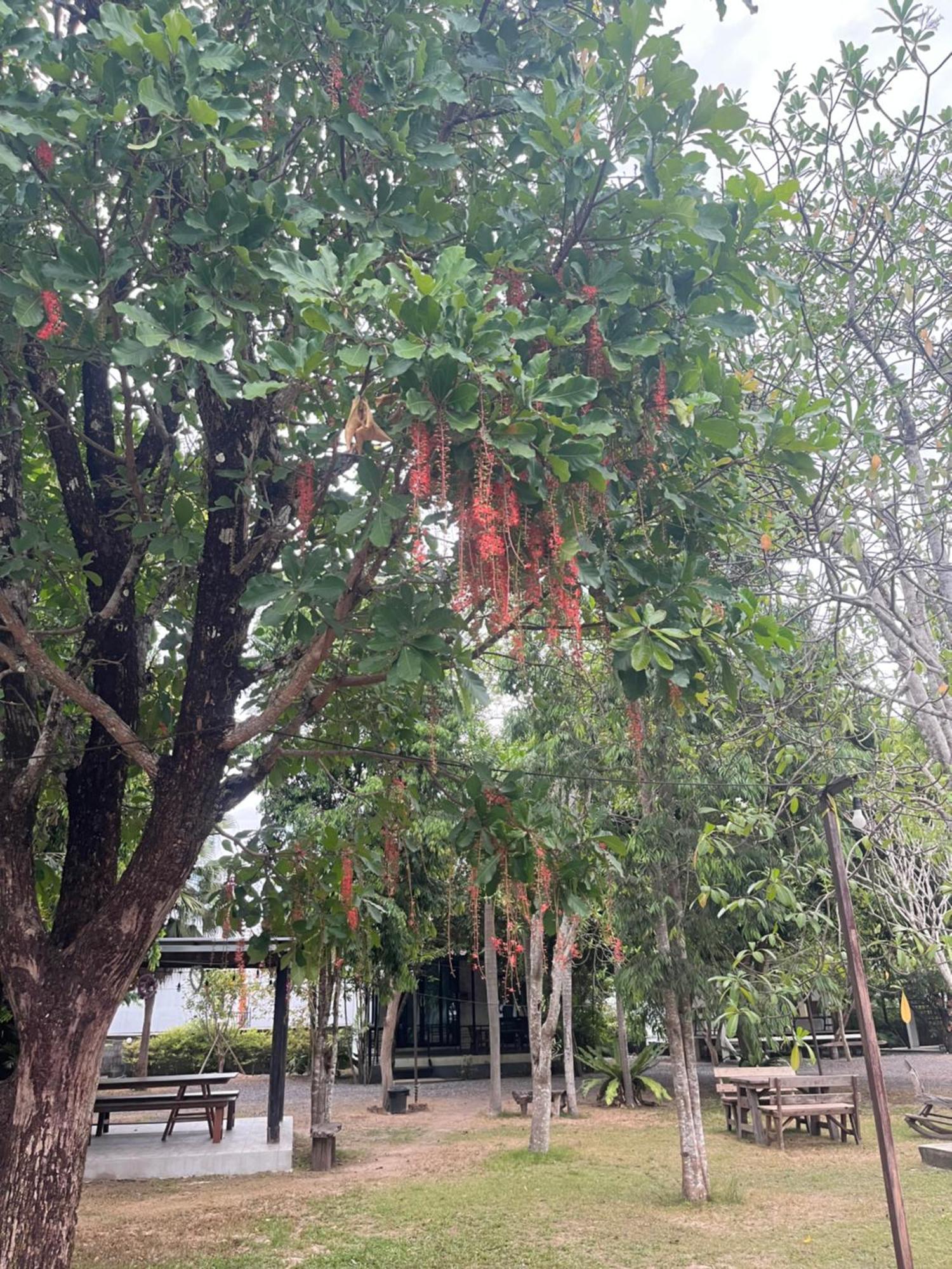 Sangkaset Resort Ban Mong Muang Esterno foto